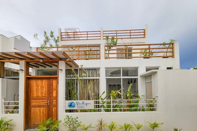 Raalhu Fonu Maldives guesthouse exterior surrounded by palm trees in Mahibadhoo Island