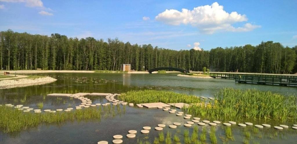 Peaceful lake near Zalakaros, Hungary surrounded by greenery and walking paths