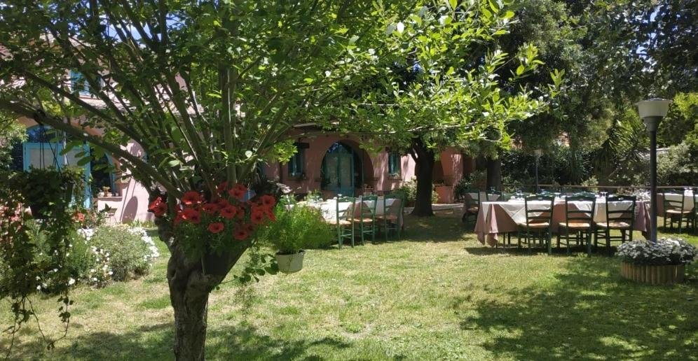 Traditional courtyard at Hotel Sa Lolla in Barumini